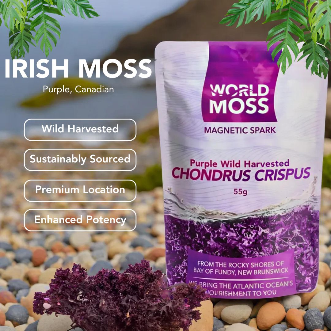 World Moss Raw Sea Moss pouch featuring wild harvested Canadian chondrus crispus with enhanced potency