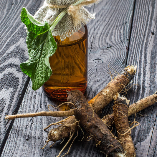 Burdock root