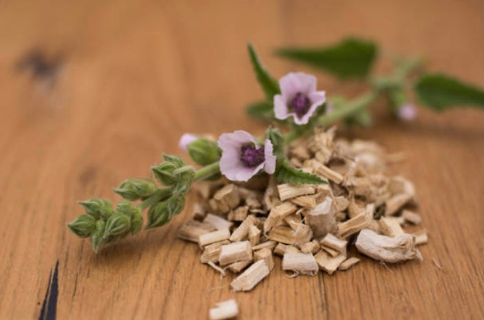 Dried marshmallow root for tea with pink flowers on wooden surface for herbal infusions