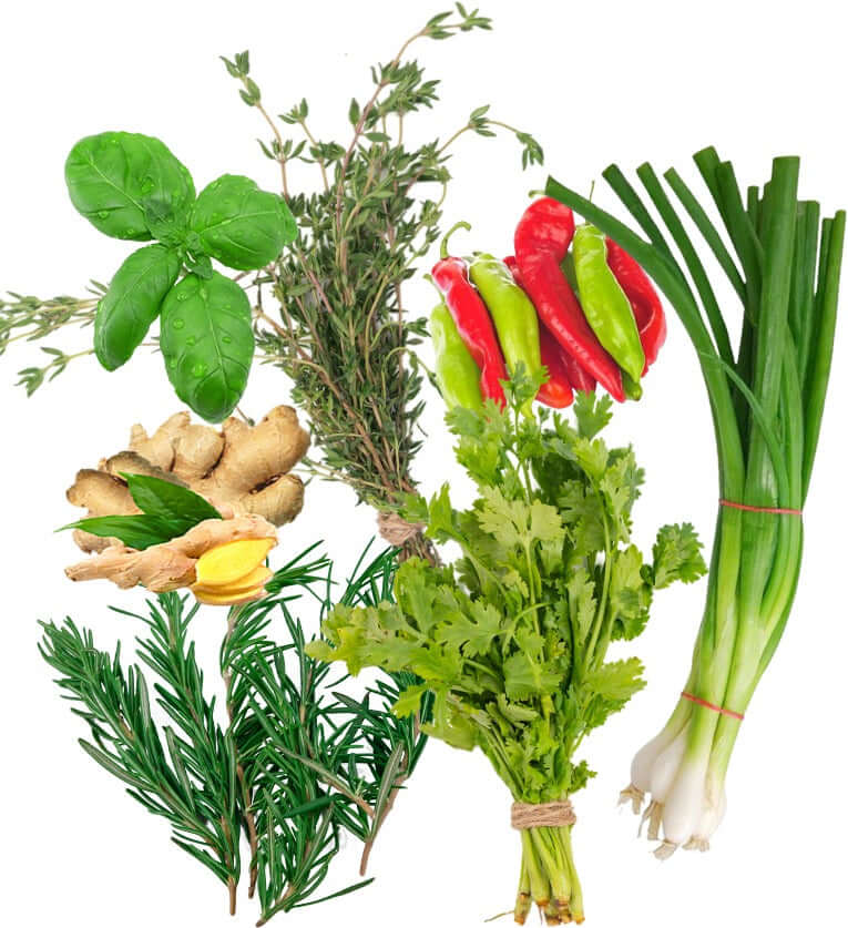 Assorted fresh herbs and spices including ginger, green onions, and chili peppers with sea moss seasoning