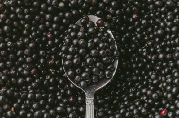 Whole elderberries for sale displayed in a spoon surrounded by more elderberries